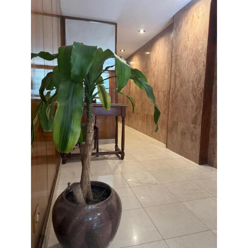 Venta de departamento 3 ambientes. Apto Crédito Hipotecario - 14