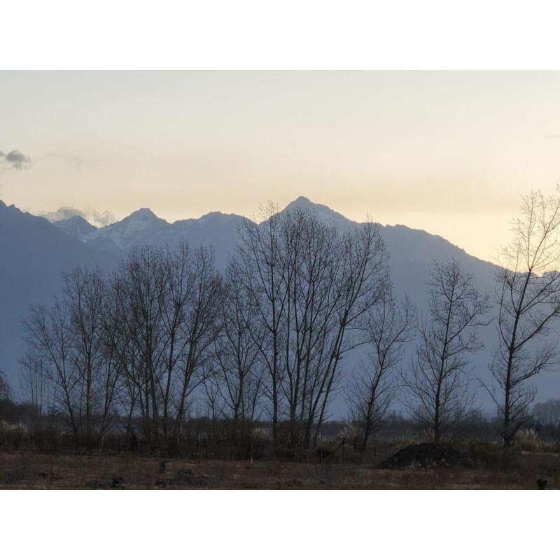 Venta De Lote De 1 HectÁrea En Estancia De Uco – TunuyÁn, Mendoza