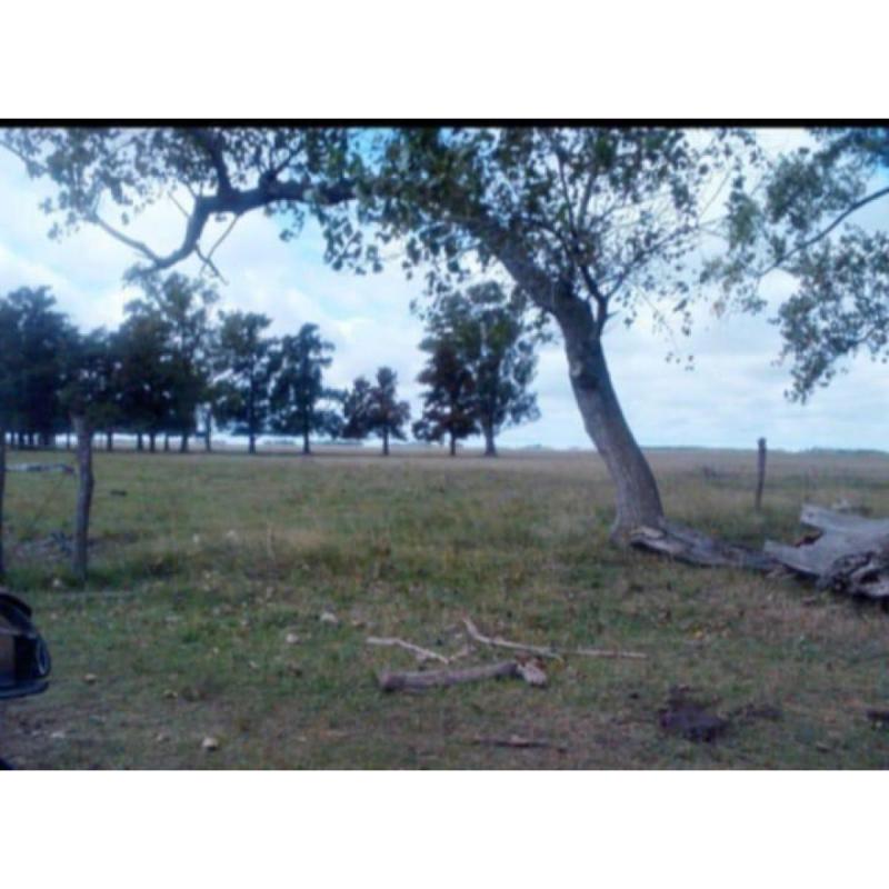 San Vicente: 500 Has 