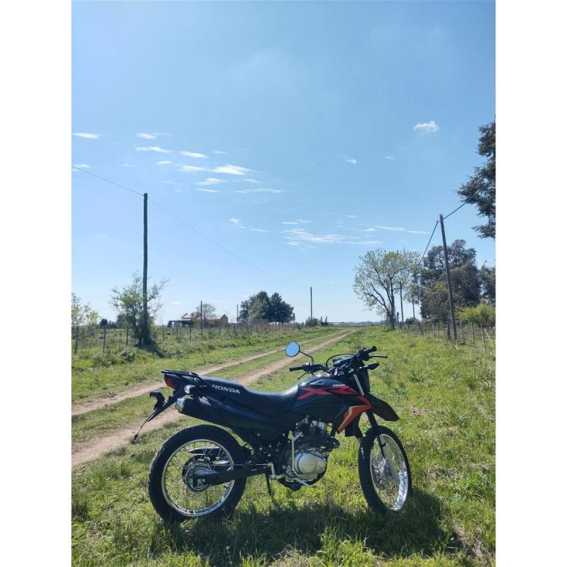 Honda Xr 150L - 2