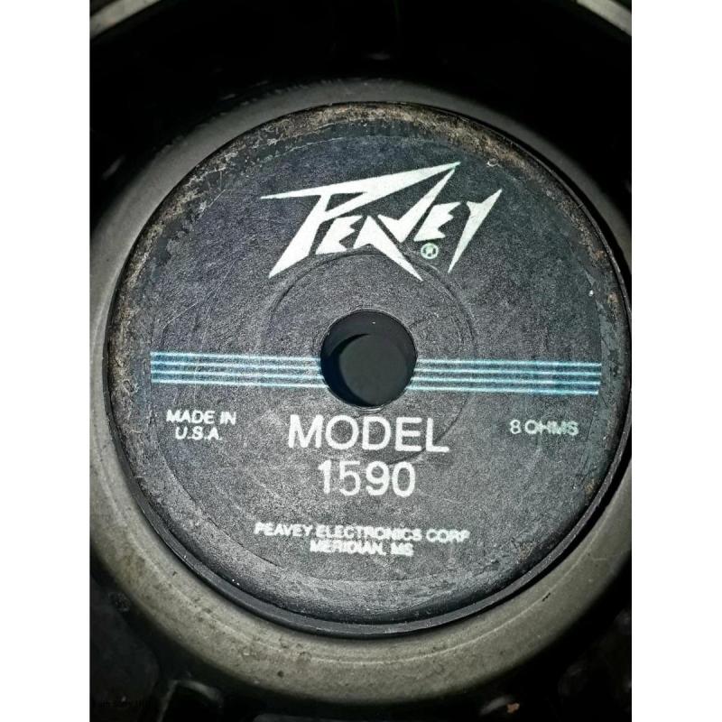 Dos  PARLANTES WOFFER PEAVEY DE 12 y16 PULGADAS