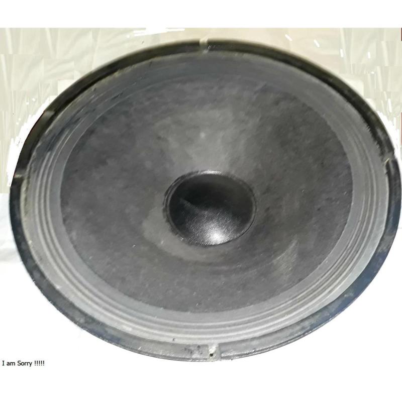 Dos PARLANTES WOFFER PEAVEY DE 12 y16 PULGADAS - 2