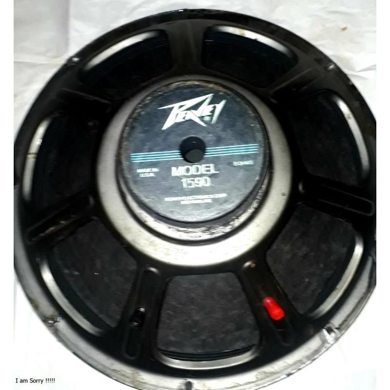 Dos PARLANTES WOFFER PEAVEY DE 12 y16 PULGADAS - 3