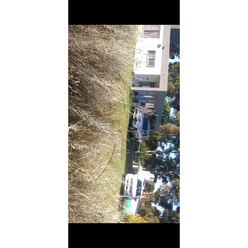 Pehuenco Lote - 4