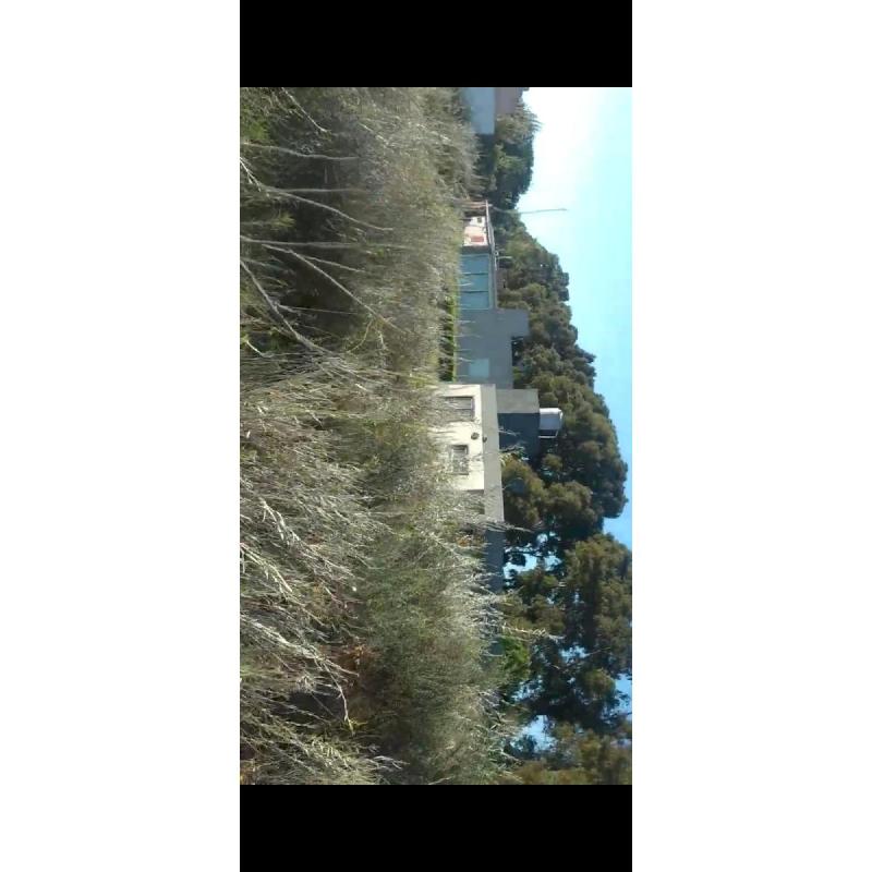 Pehuenco Lote - 6