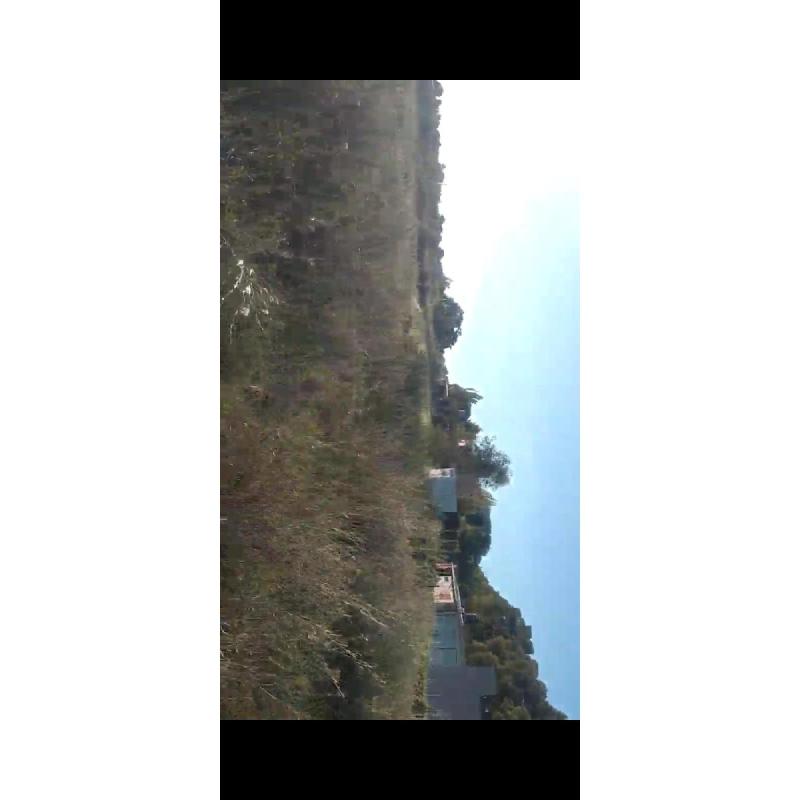 Pehuenco Lote - 7