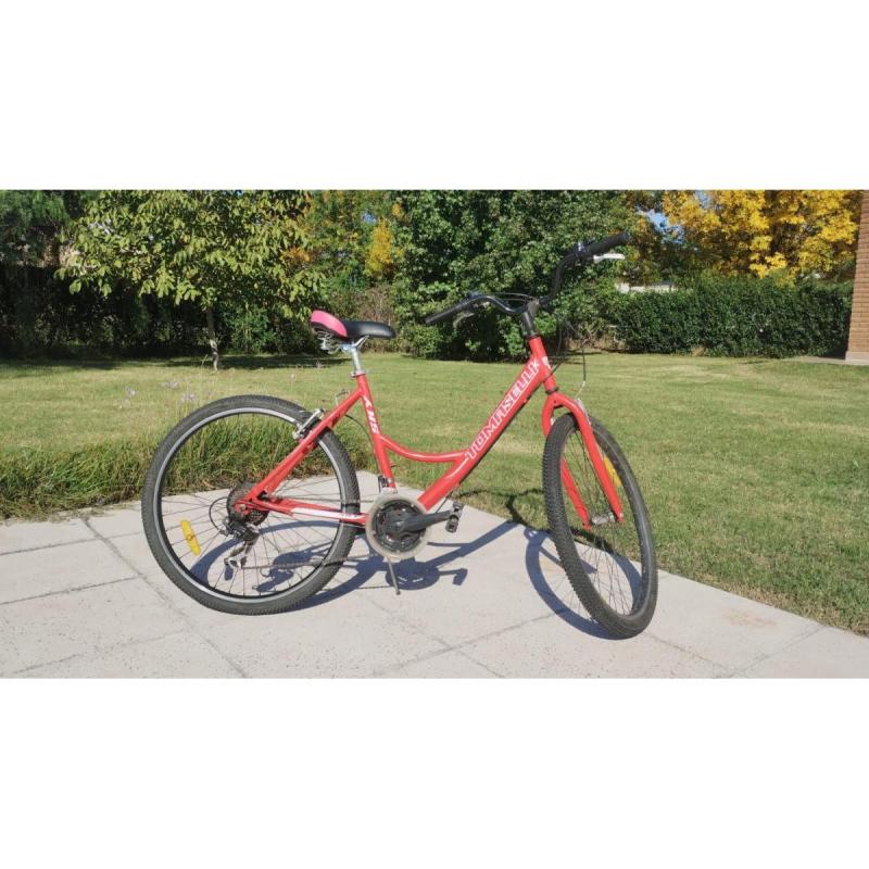 Bicicleta Rodado 26