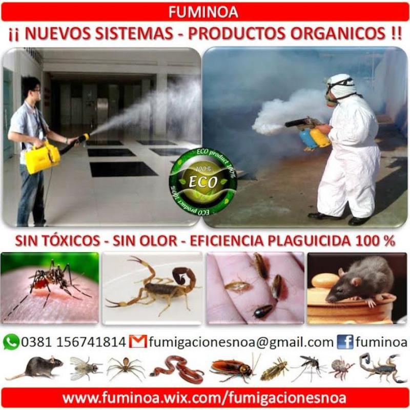 Control Total Y Orgánico de Plagas