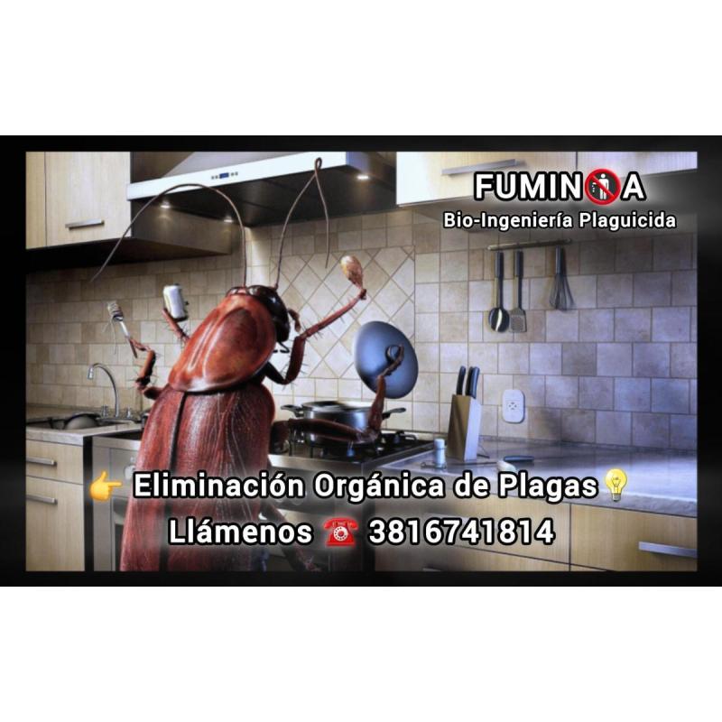 Tratamientos Plaguicidas Modernos