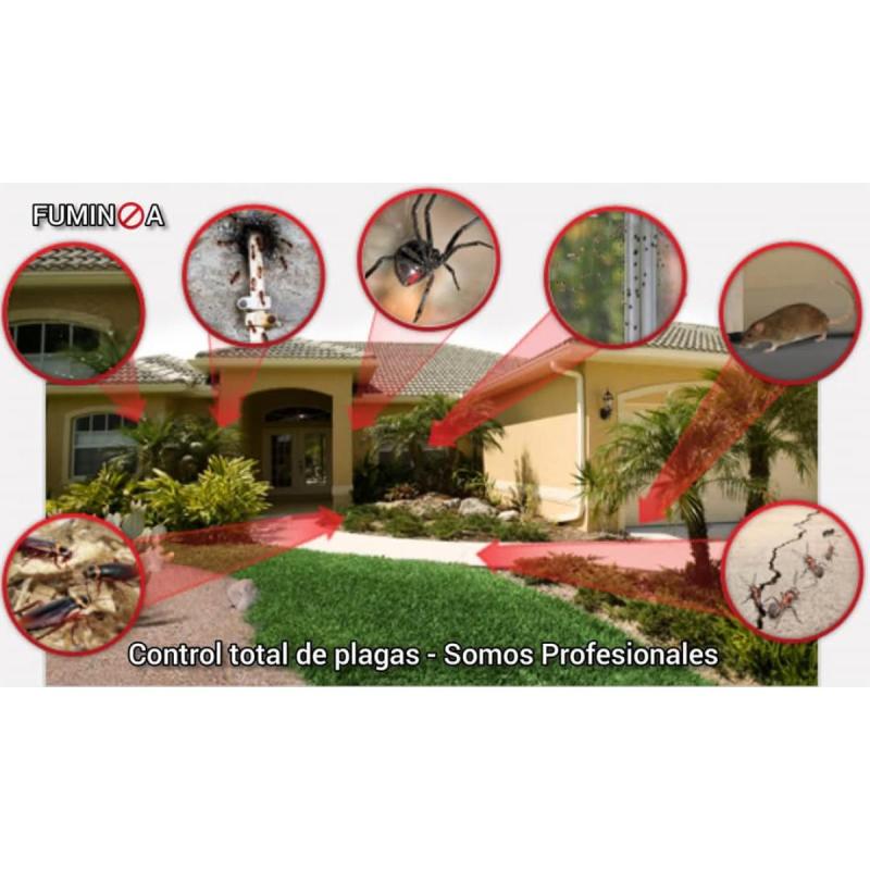 Domicilios Sin Plagas / Sin Venenos
