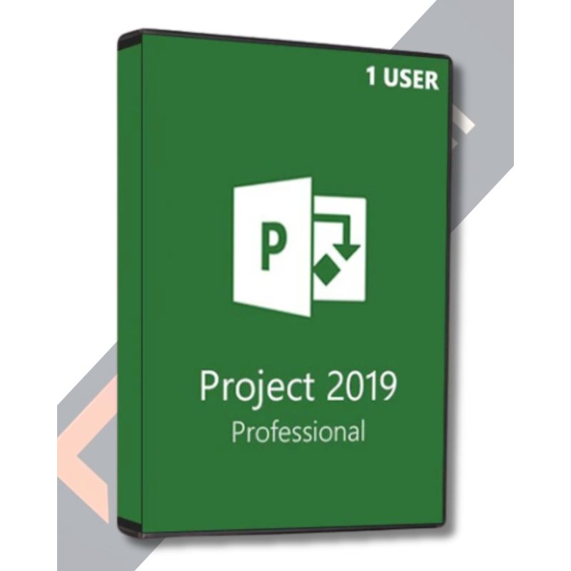 Microsoft Project Professional 2019