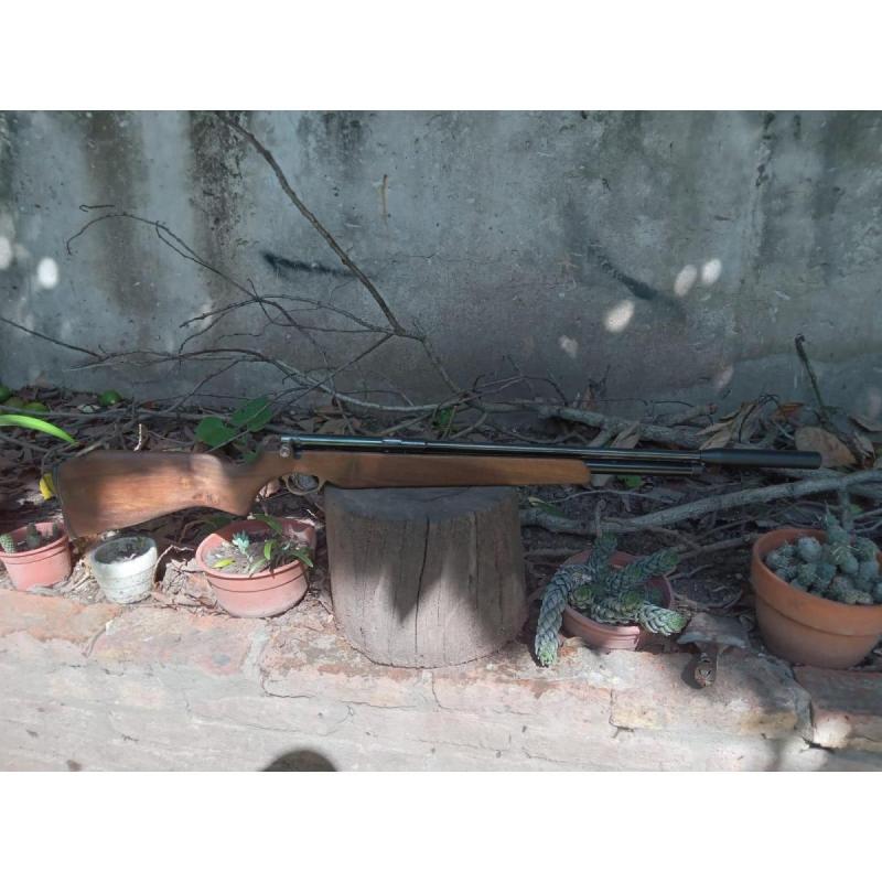 Rifle Anhorn Sba-460 Co2 5.5 Con Silenciador (Usado)