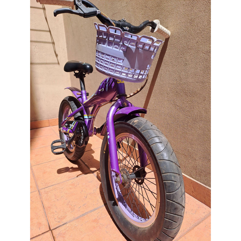 Bicicleta Fat Bike Sbk Rod 16 Violeta Metalizado C/rueditas