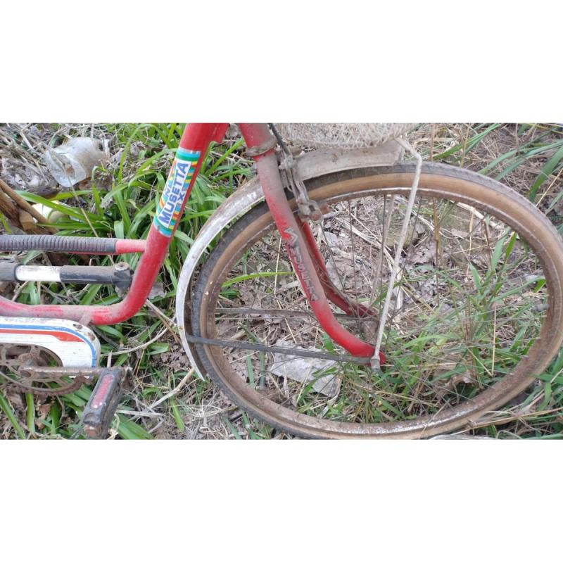 Bicicleta de Mujer Rod 26 - MUSSETA