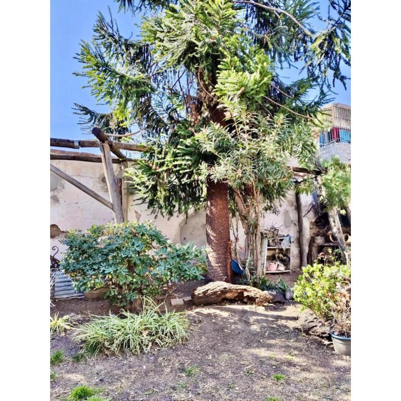 Venta lote propiedad 311 m2 emprendimiento inmobiliario o reciclar rioja mendoza - 7