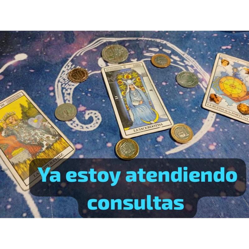 Tarot 24 hrs