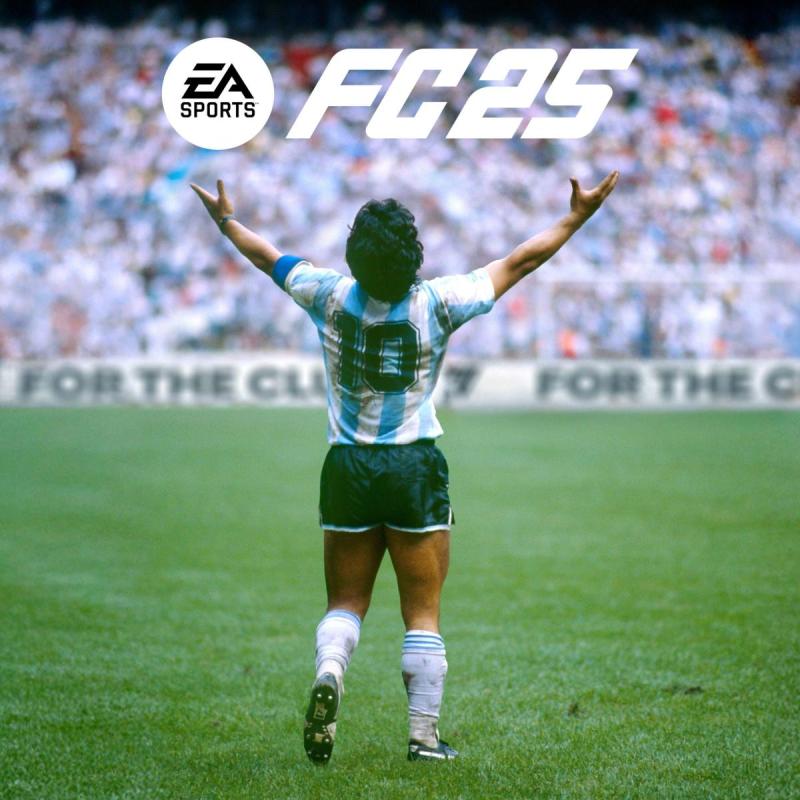 fc 25 pc