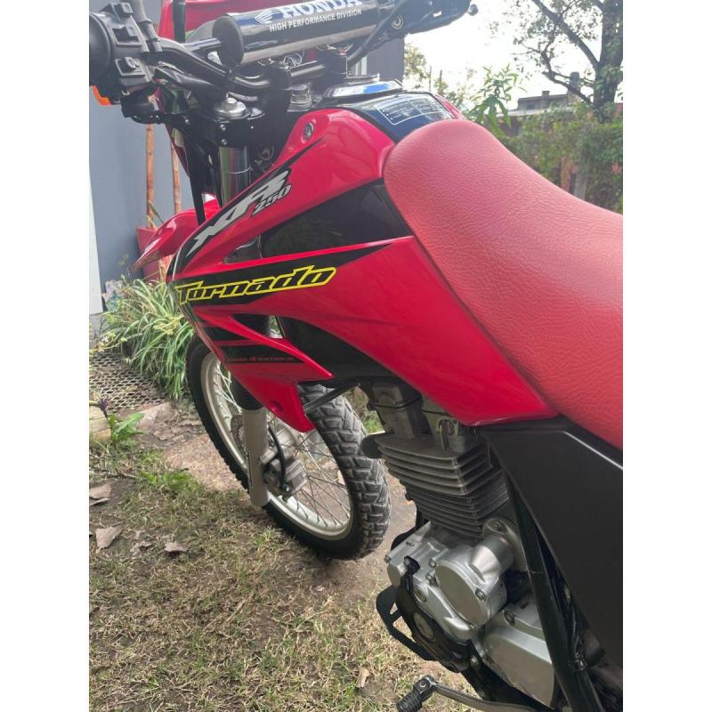 Honda Tornado 250 – 2019 - 9
