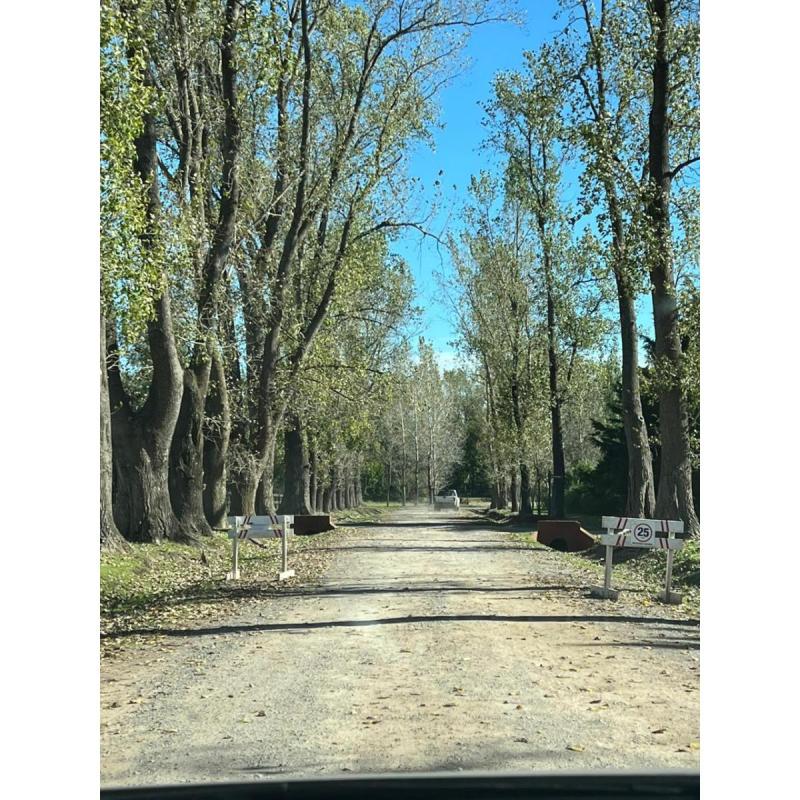 Lote en Venta de 5000 m2 En el Malacate. Proyecto de casa Aprobado. Capilla del Señor