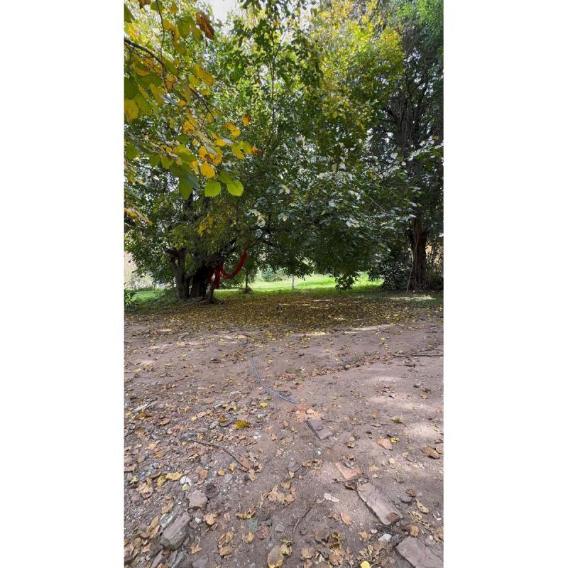 Dueños venden gran propiedad en Salsipuedes – 6 Lotes + Casa con piscina – 3375 m² - 7
