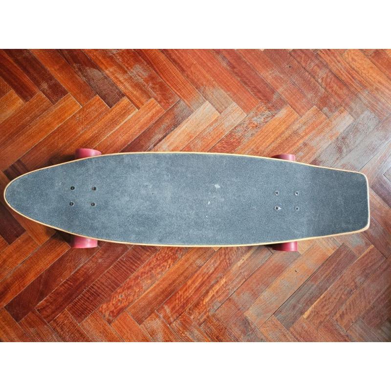 Longboard marca Daiwa - 3