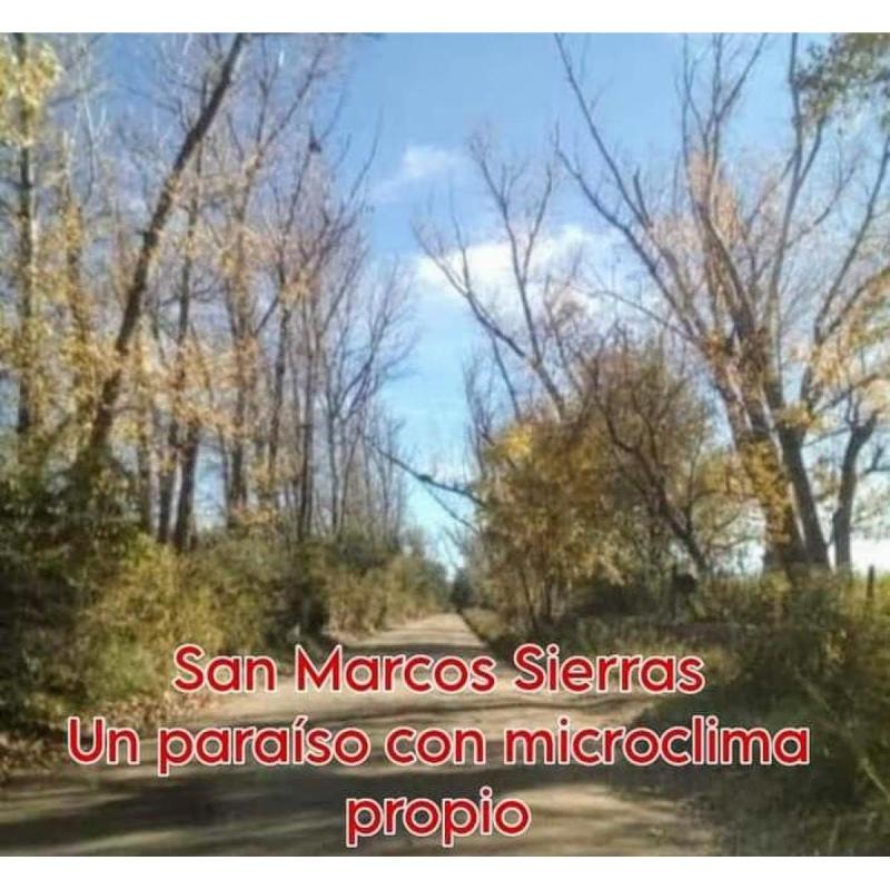 Excelente inversión - 7