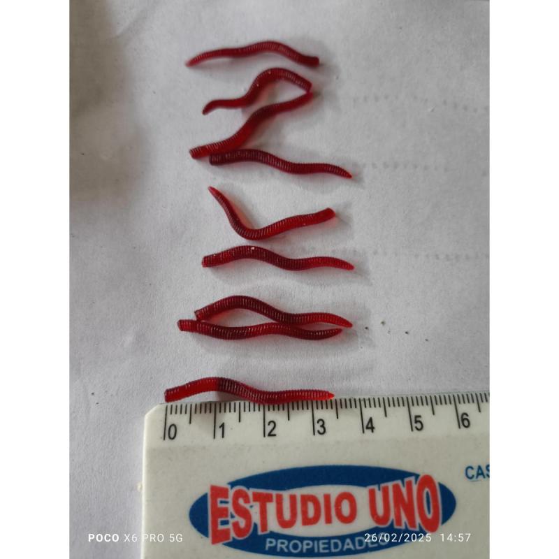 Señuelos de goma - 2