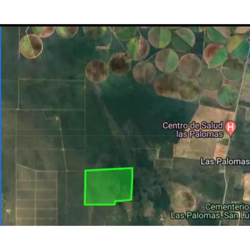 Campo en venta en Las Palomas