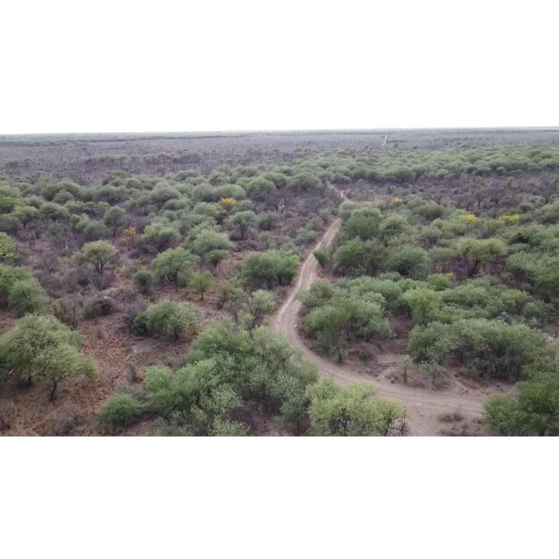 Campo en venta en Las Palomas - 3