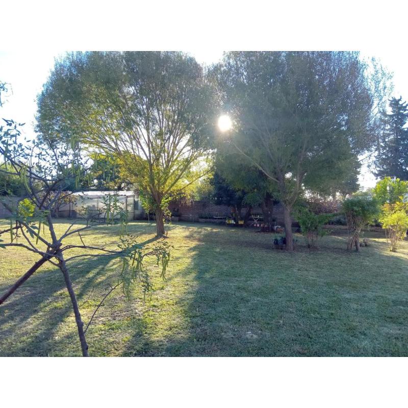 Nogoya Entre Rios - Hermosa propiedad en venta - 8