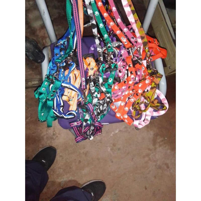 • Venta de accesorios para mascotas - 3