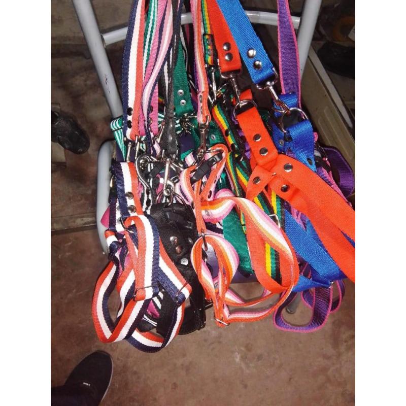 • Venta de accesorios para mascotas - 5