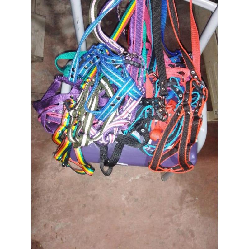 • Venta de accesorios para mascotas - 7