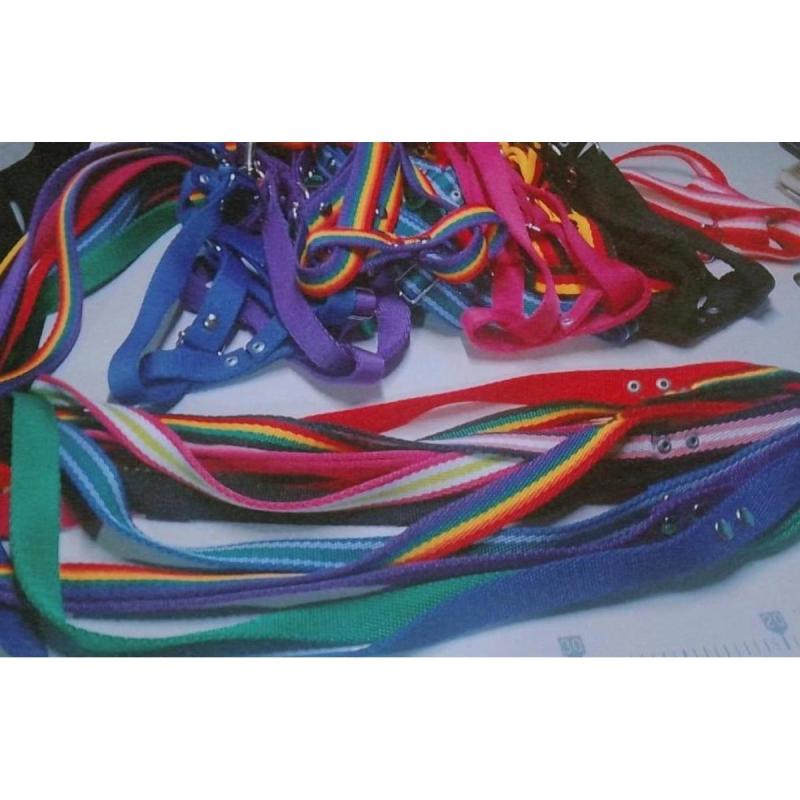 • Venta de accesorios para mascotas - 8