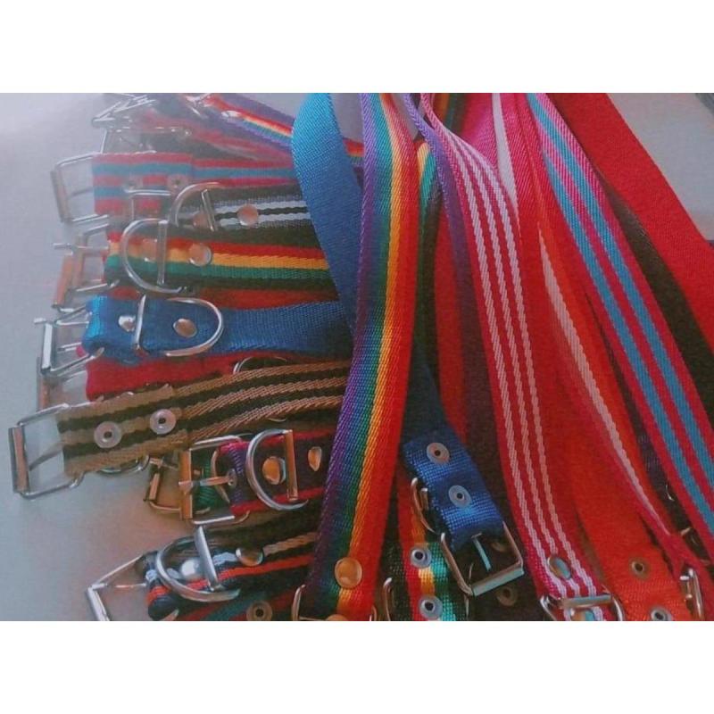 • Venta de accesorios para mascotas - 11