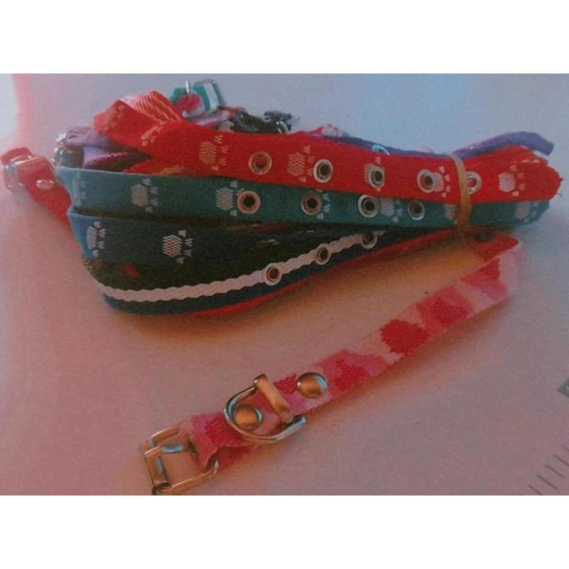 • Venta de accesorios para mascotas - 13