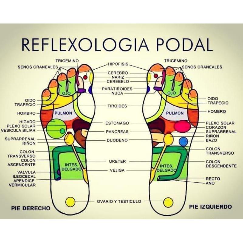 Masajes, Terapias holísticas y cuidado personal