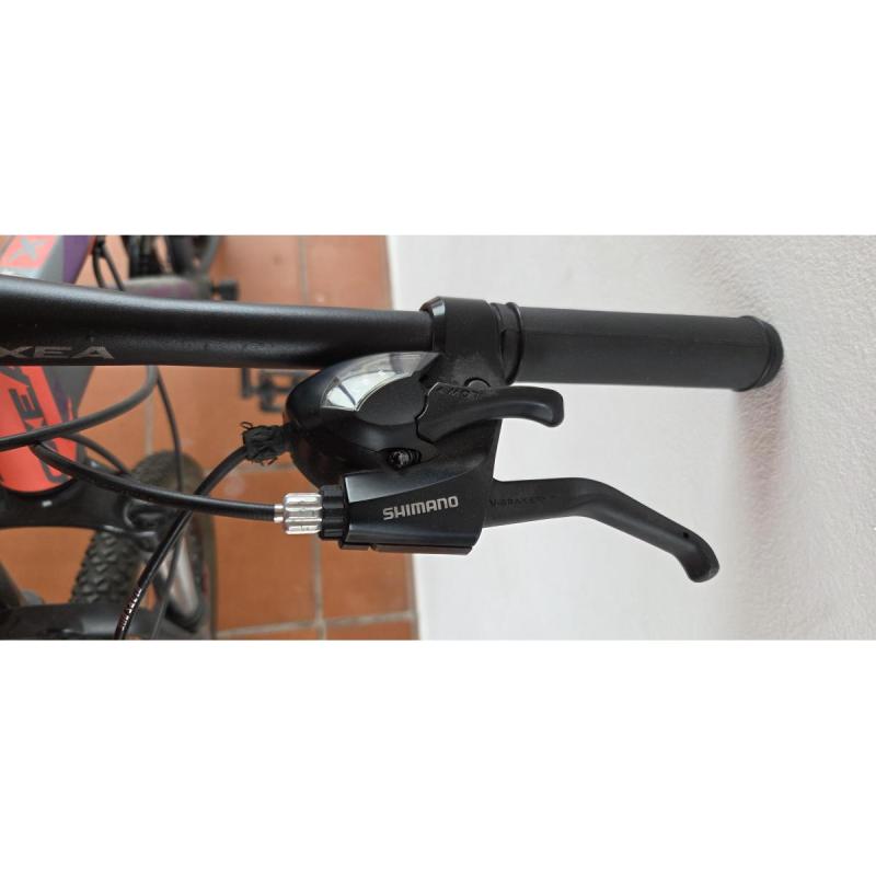 Vendo dos bicicletas oxea - 18
