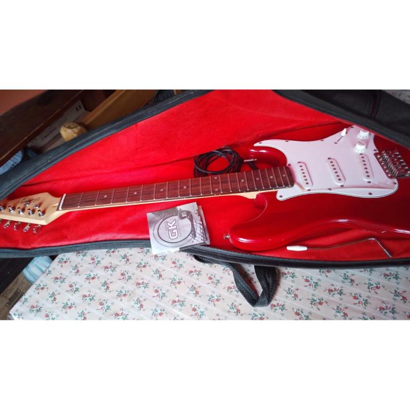 Guitarra Parquer Stratocaster - 2