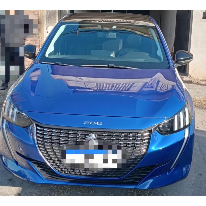 208 feline 2022 - 1/8