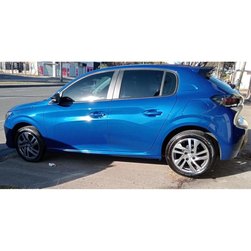 208 feline 2022 - 3/8