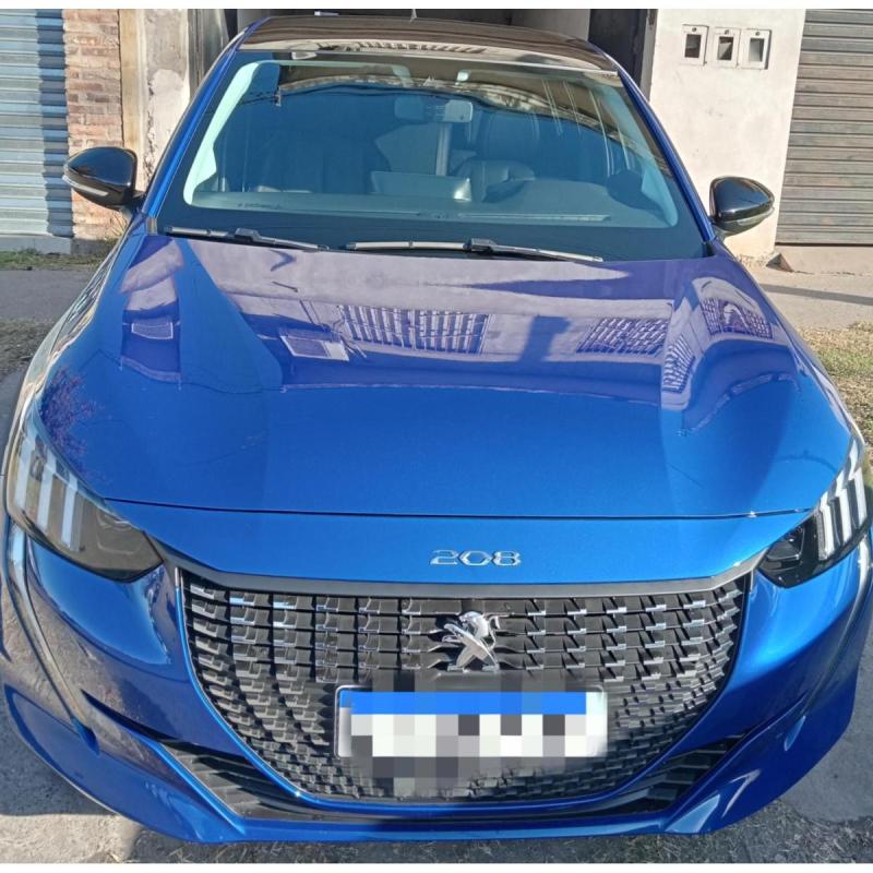 208 feline 2022 - 4/8