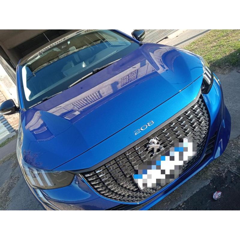 208 feline 2022 - 5/8