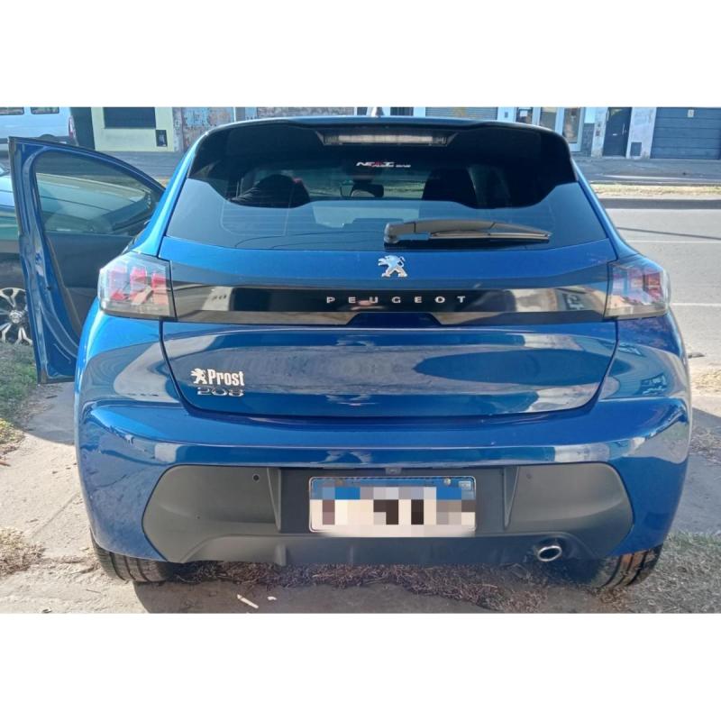 208 feline 2022 - 6/8