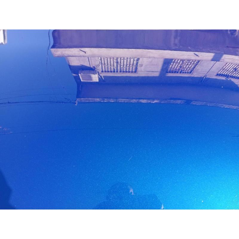 208 feline 2022 - 7/8