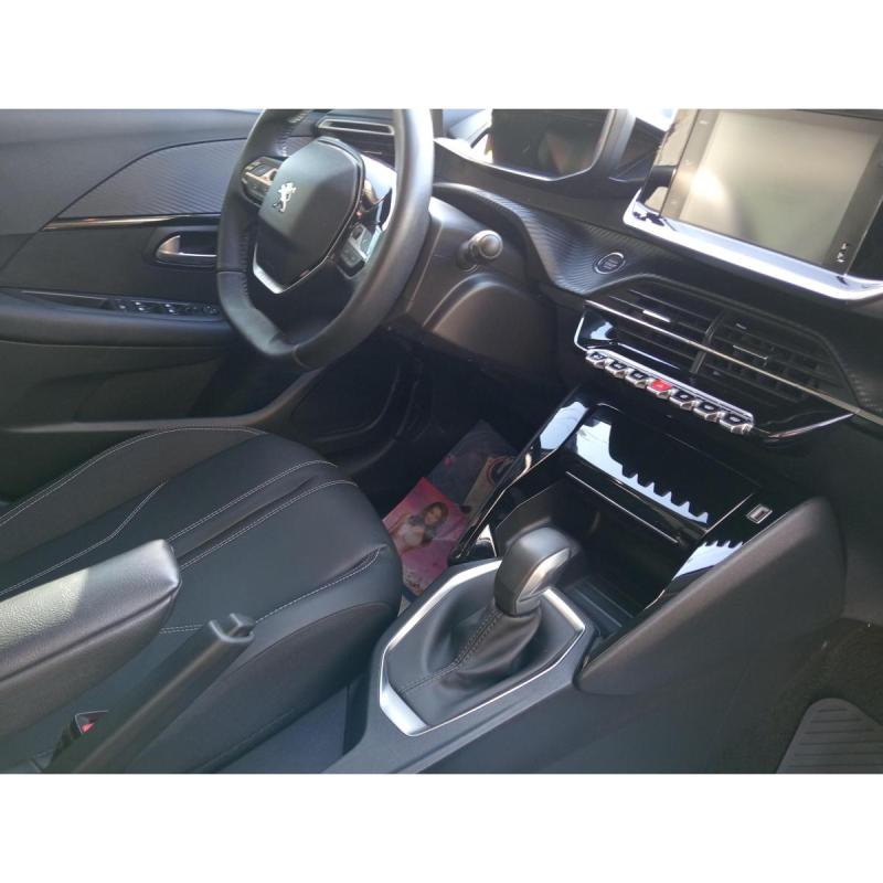 208 feline 2022 - 8/8