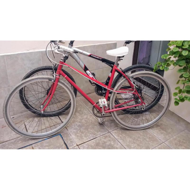 Vendo Bicicleta Vintage 1960/70  Mujer