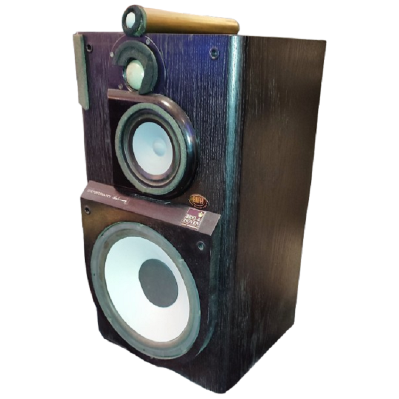 Par de Parlantes BACH B&H L.P. Studio Monitor. C/GARANTIA WP