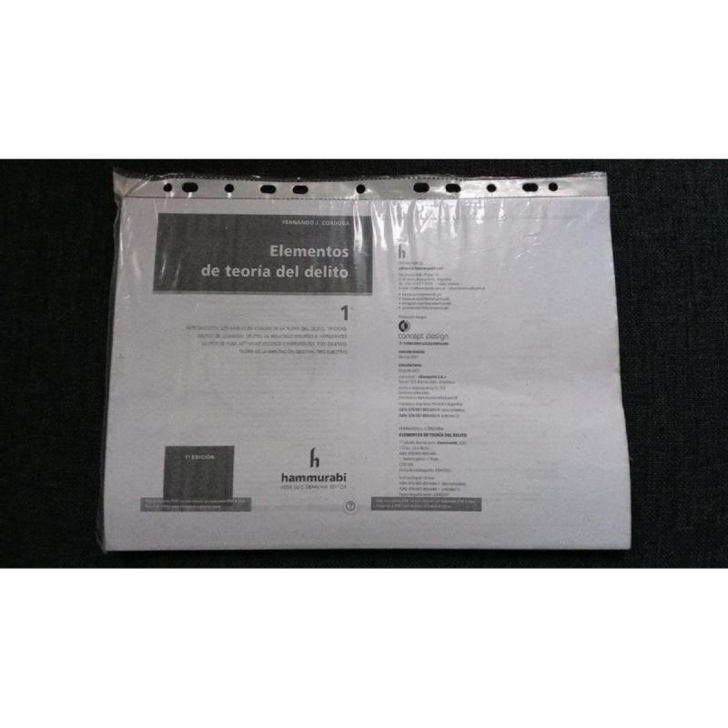 Manual Teoría del Delito Córdoba 2021 - Fotocopiado Usado
