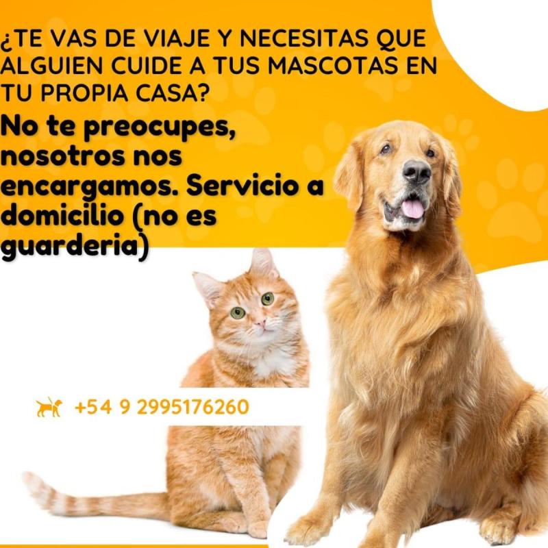 Cuidado de mascotas - 2